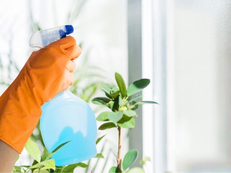 Office & Commercial Cleaning